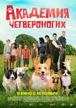Академия четвероногих онлайн